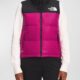 The-North-Face-Vest